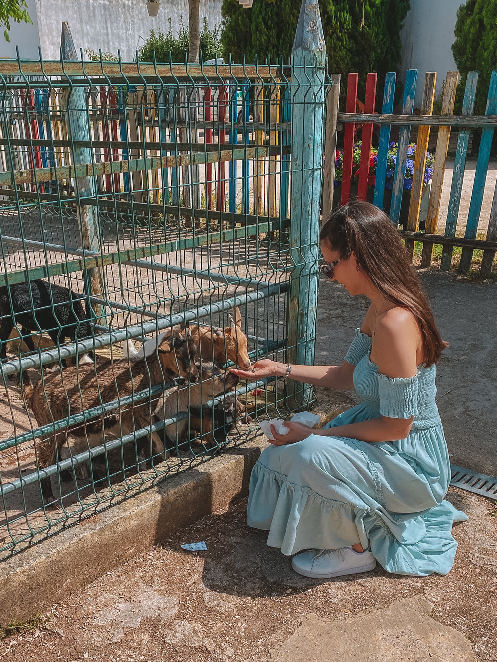 Experiência Tratador | Quinta Pedagógica