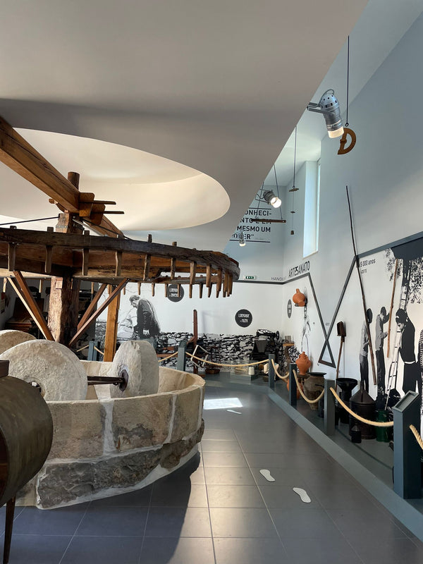 Museu Espaço da Mente