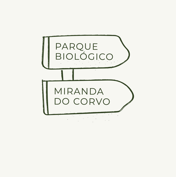 Como chegar